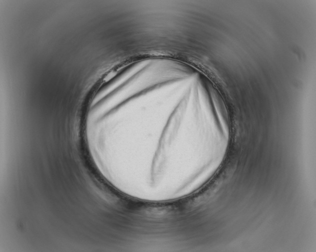 X0000113880299200910151319