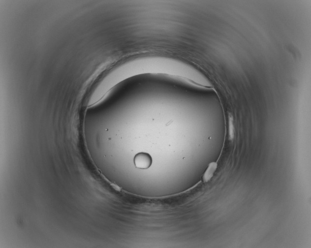 X0000113880300200910151319