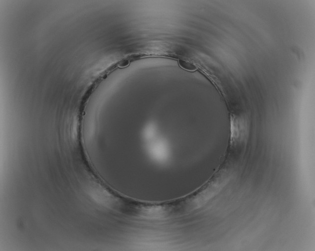 X0000113880301200910151319