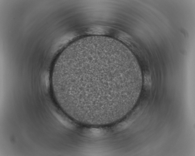 X0000113880302200910151319