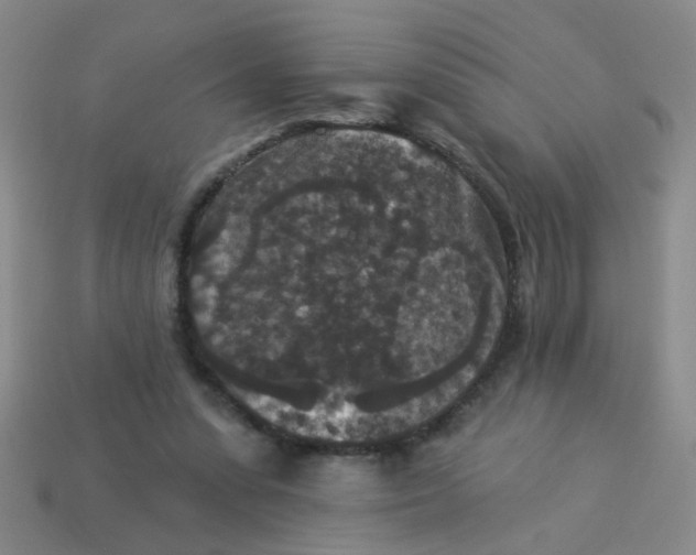 X0000113880303200910151319