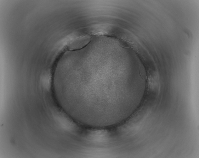 X0000113880304200910151319