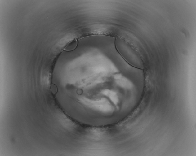 X0000113880305200910151319