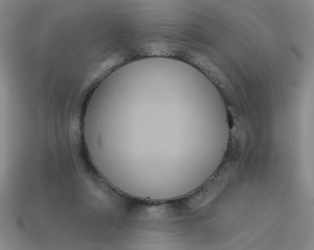 X0000113880306200910151319