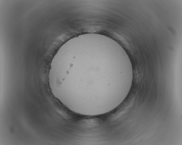 X0000113880307200910151319