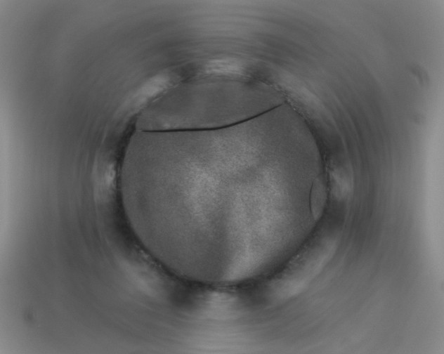 X0000113880308200910151319