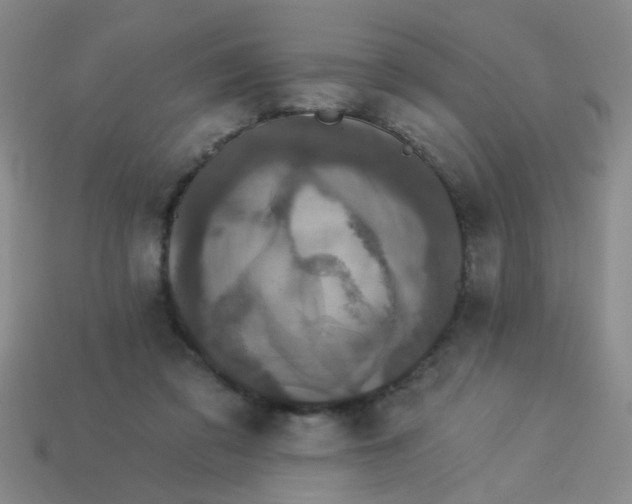 X0000113880309200910151319