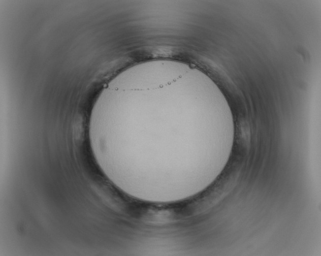 X0000113880311200910151319