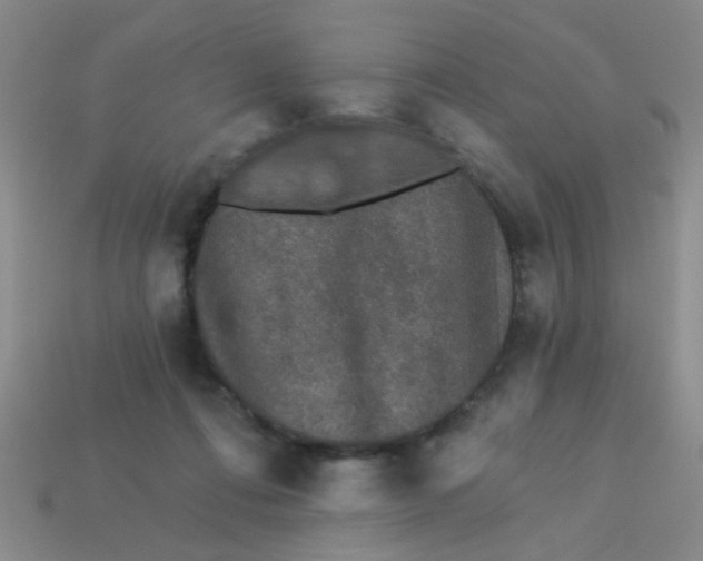 X0000113880312200910151319