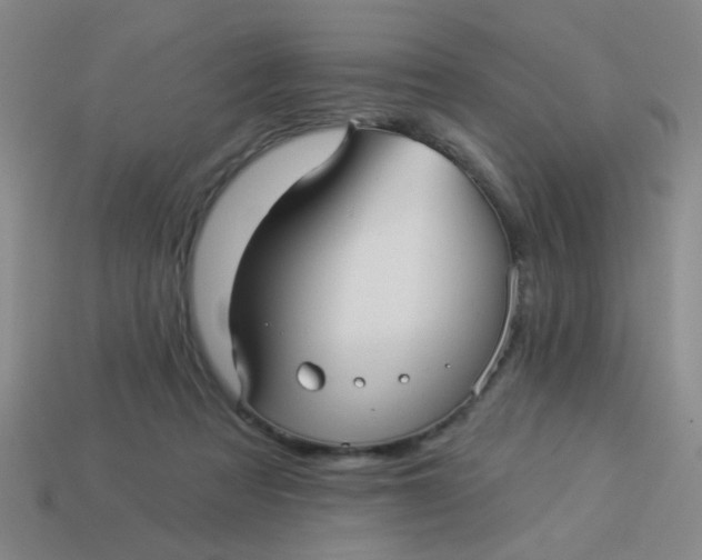 X0000113880313200910151319