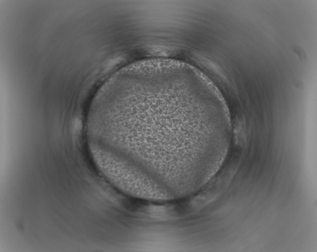 X0000113880314200910151319