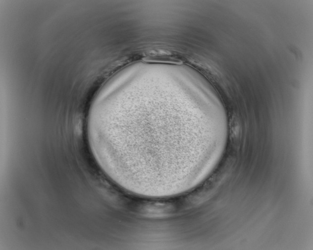 X0000113880315200910151319