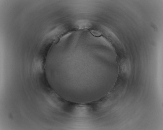 X0000113880316200910151319