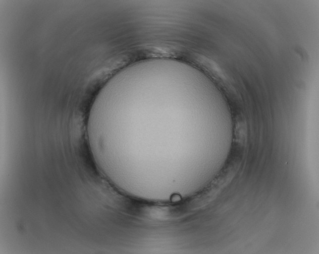 X0000113880318200910151319