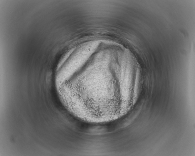 X0000113880319200910151319