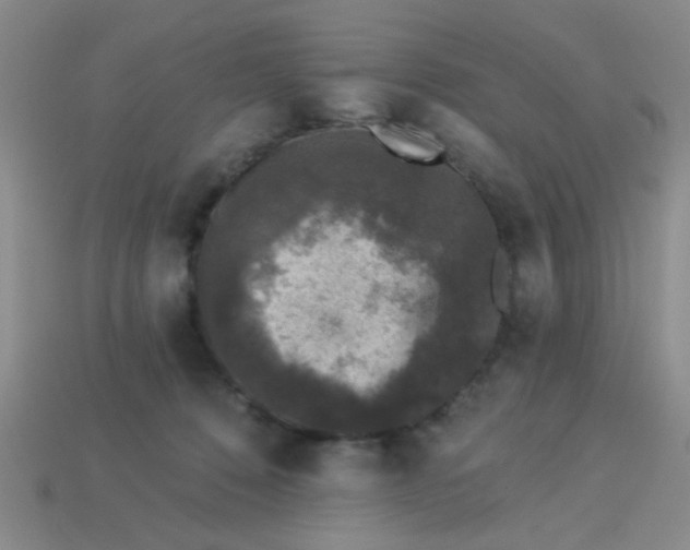 X0000113880320200910151319