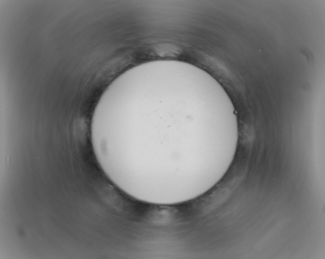 X0000113880321200910151319