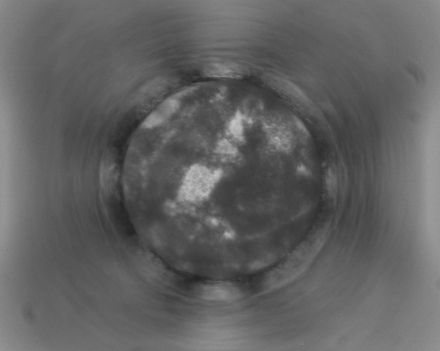 X0000113880322200910151318