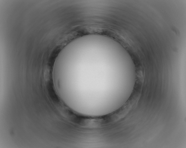 X0000113880323200910151318