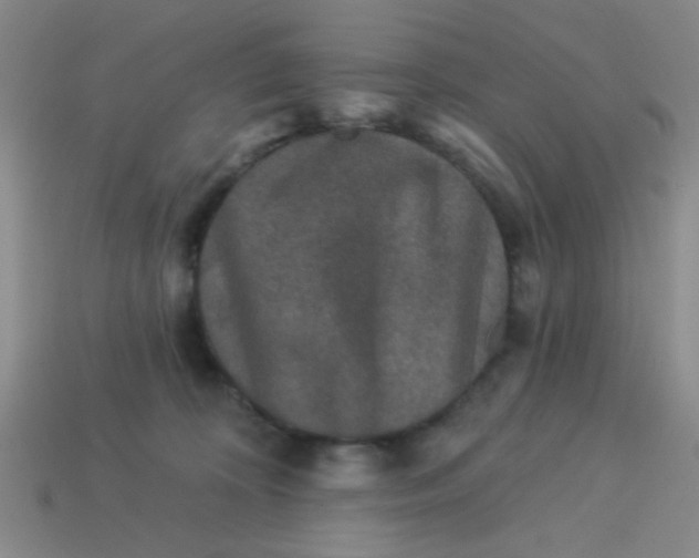 X0000113880324200910151318