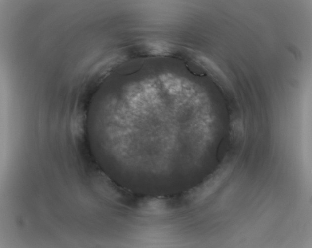 X0000113880325200910151318