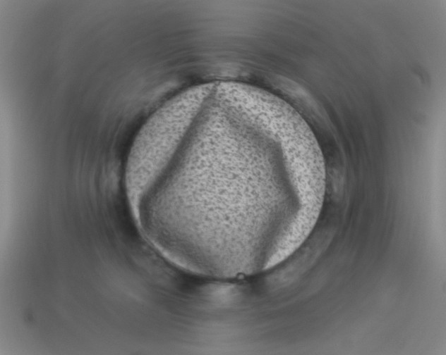 X0000113880326200910151318