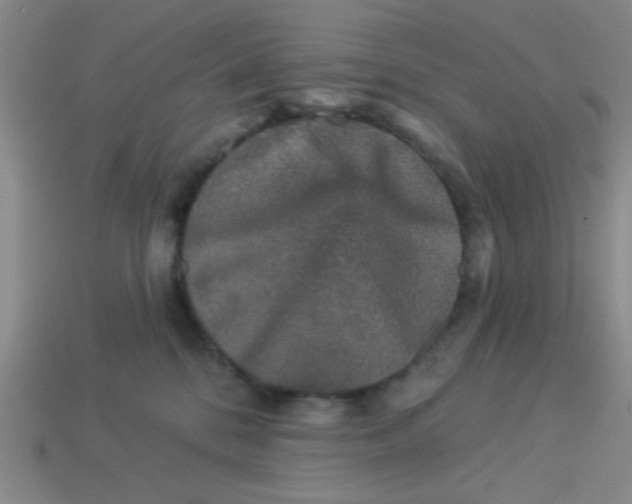 X0000113880328200910151318