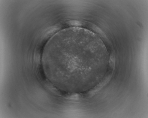 X0000113880330200910151318