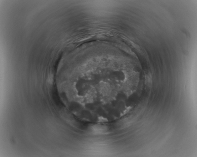 X0000113880331200910151318