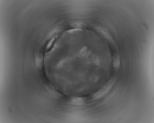 X0000113880332200910151318