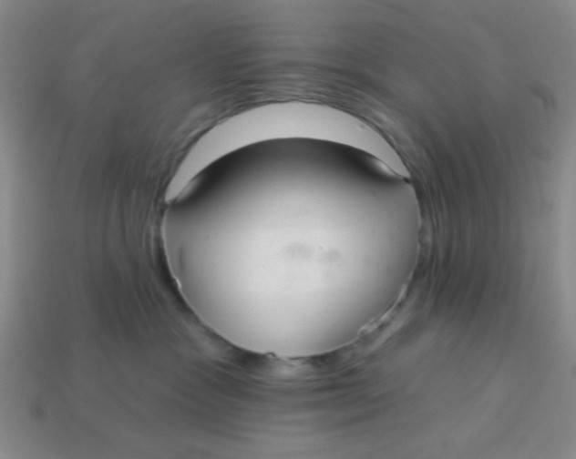 X0000113880333200910151318