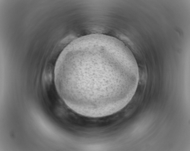 X0000113880334200910151318