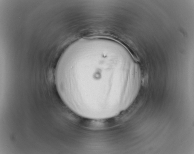 X0000113880335200910151318