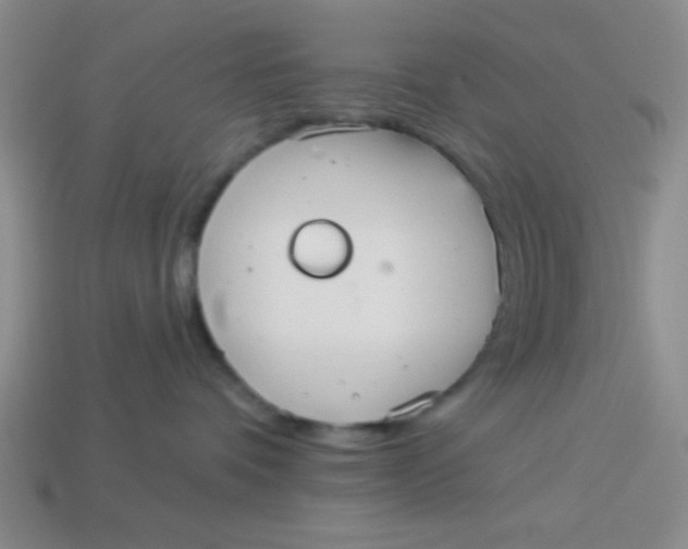 X0000113880336200910151318