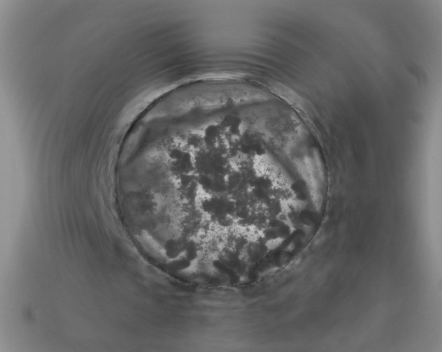 X0000113880337200910151318