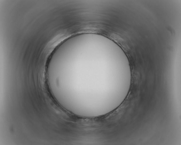 X0000113880338200910151318