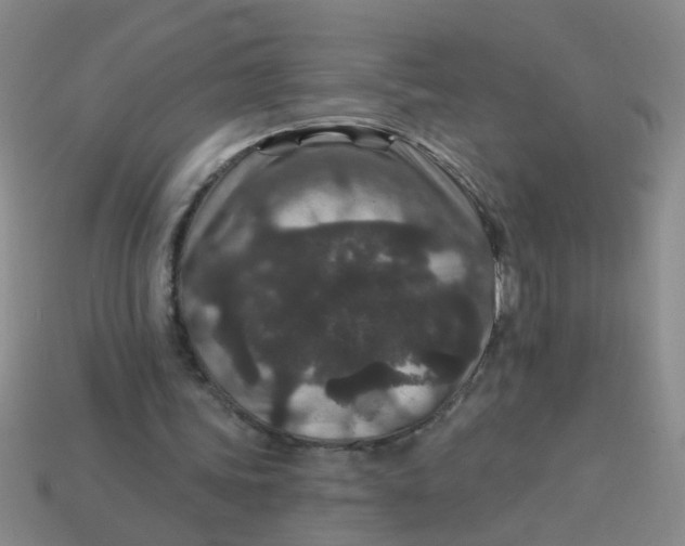 X0000113880339200910151318