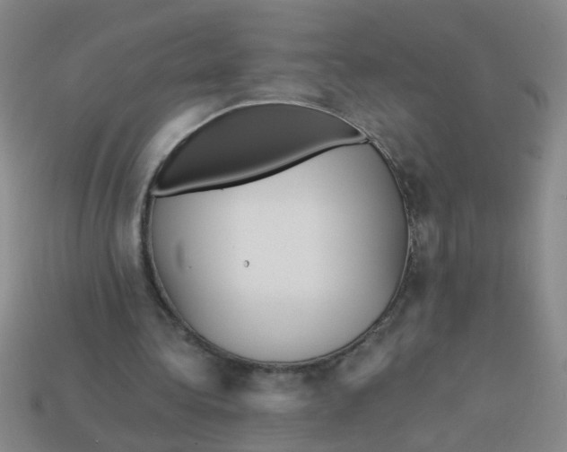 X0000113880340200910151318