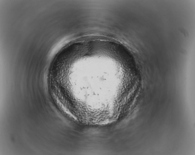 X0000113880341200910151318