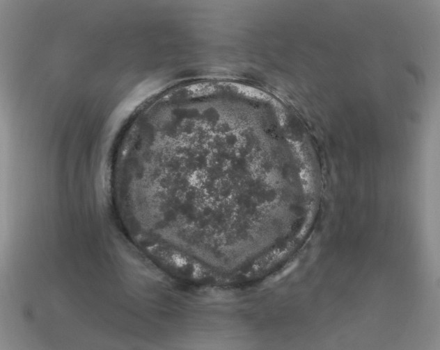 X0000113880343200910151318