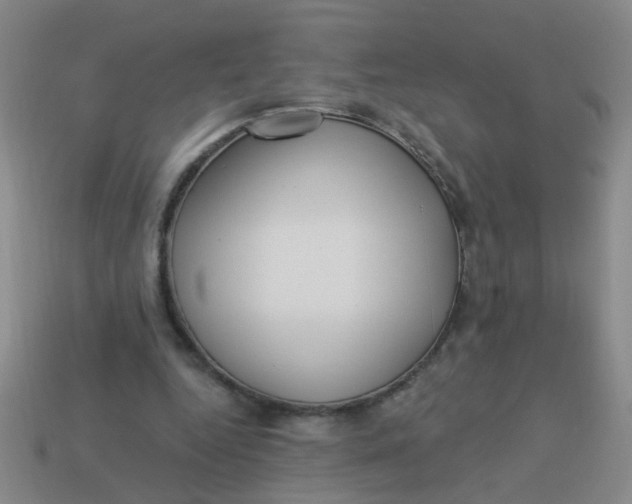 X0000113880344200910151318