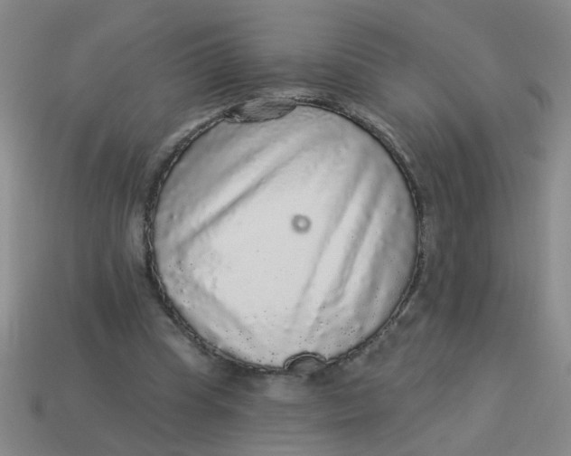 X0000113880345200910151318