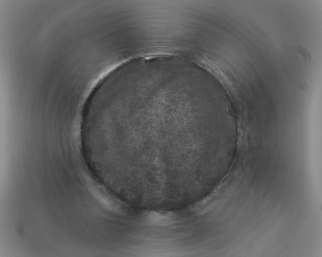 X0000113880346200910151318