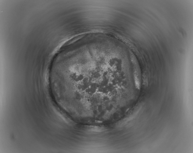 X0000113880347200910151318