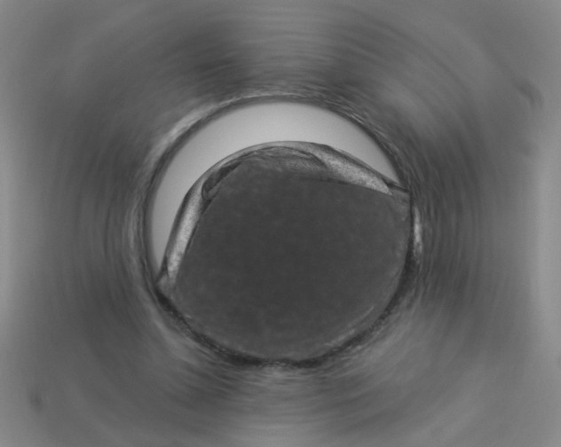 X0000113880348200910151318