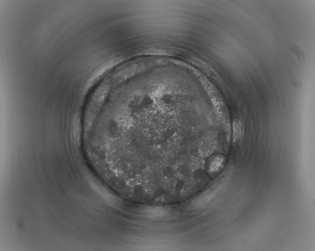 X0000113880349200910151318