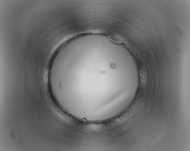 X0000113880350200910151318