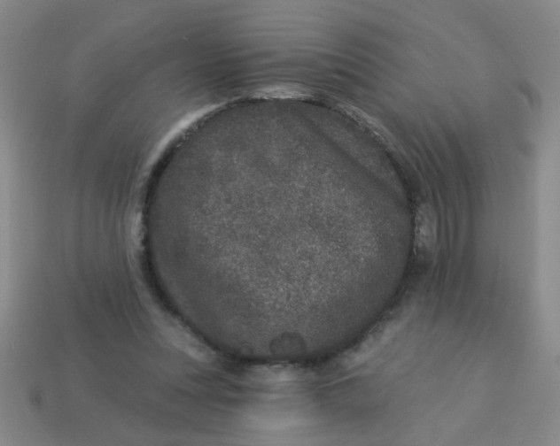 X0000113880351200910151318