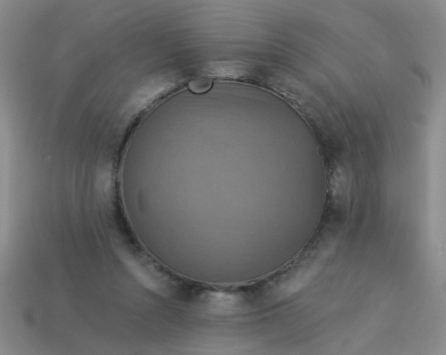 X0000113880352200910151318