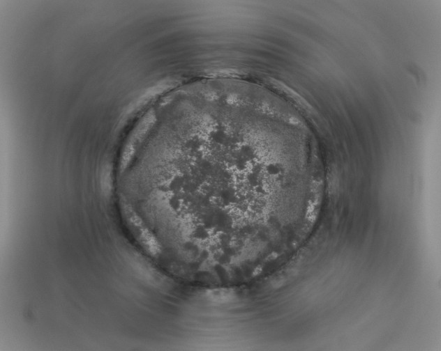 X0000113880353200910151318